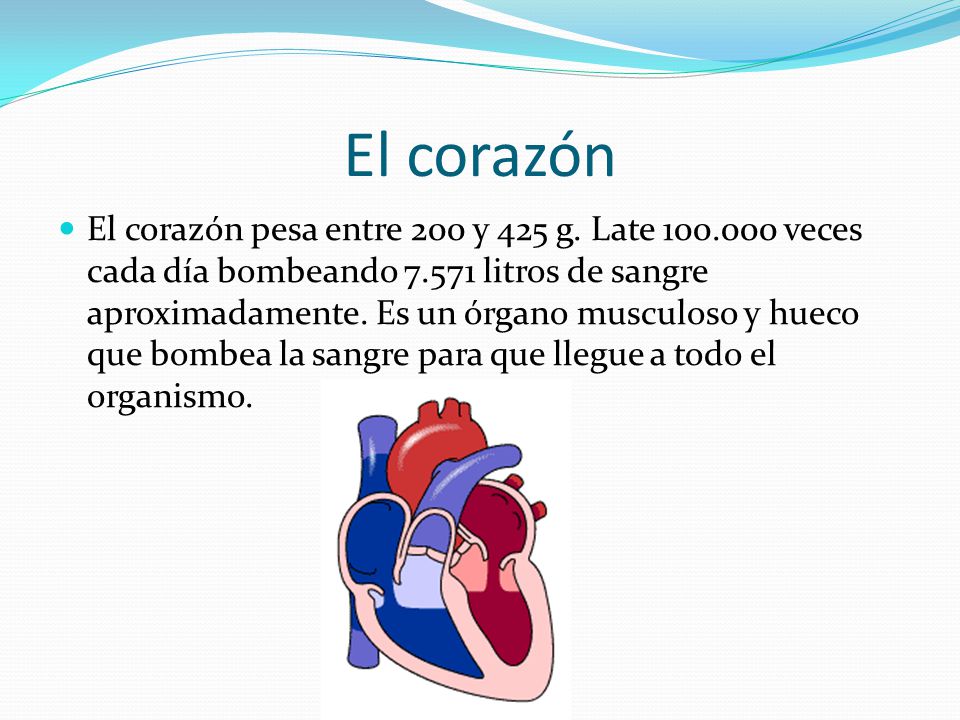 Corazon de sangre cada el dia litros bombea cuantos